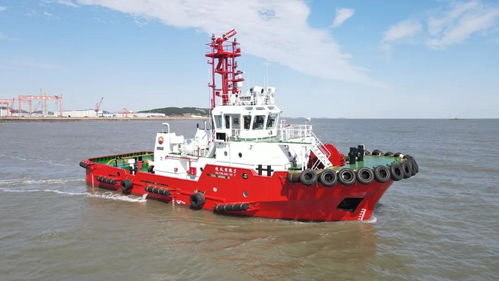 逐風遠航，向新而生 青島造船廠交付中石油廣東石化四艘船舶